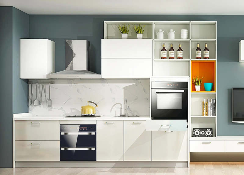 Contemporary Acrylic Kitchen Cabinets