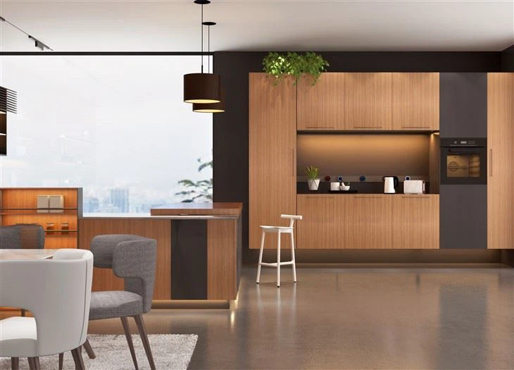 Modern Open Kitchen Cabinet